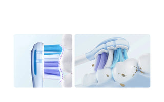 What’s Hiding in Your Toothbrush? How Often Should You Replace Brush Heads?